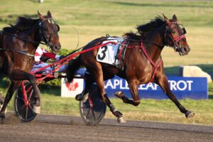 horses with buggies racing