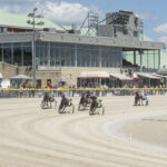 sunny day at racetrack with audience watching horse racing