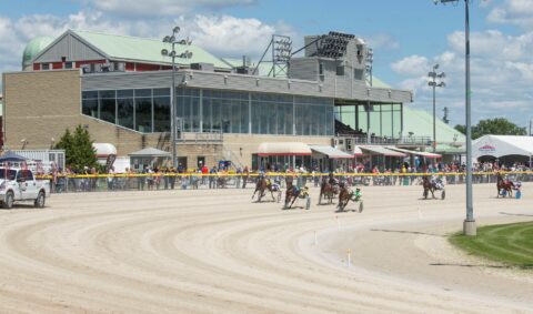 wide view of horses racing while fans cheer them on on a sunny day