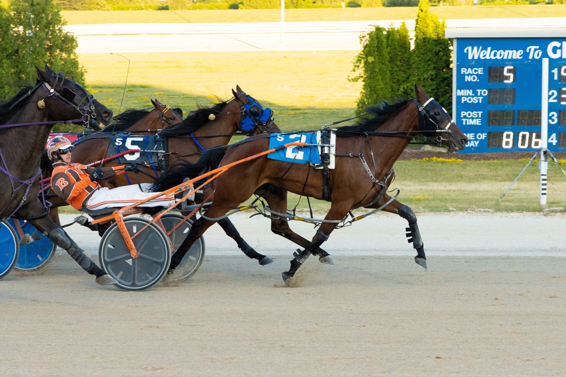 standardbred horse with horses racing behind it
