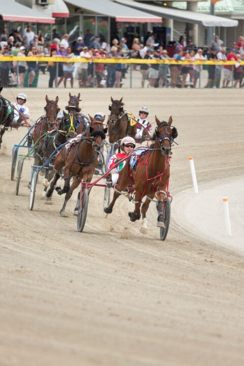 Seven standardbred horses round the first corner