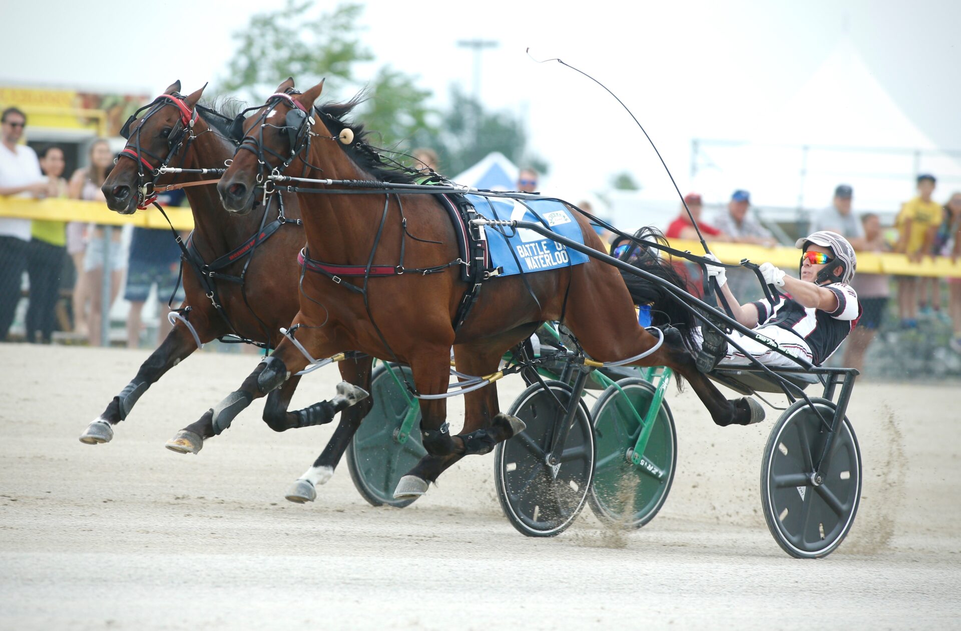 two standardbred horses neck to neck racing