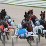 drivers and standardbred horses racing