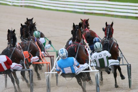 drivers and standardbred horses racing