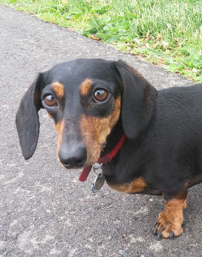 Frankie