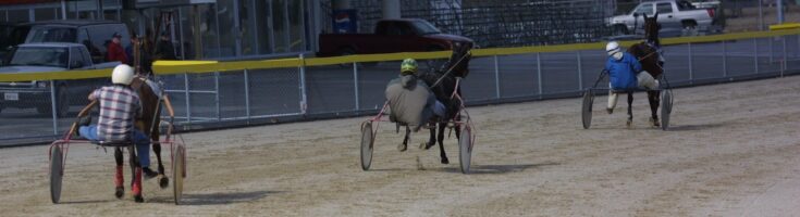 Drive a racehorse during Open House at Grand River Raceway - Grand