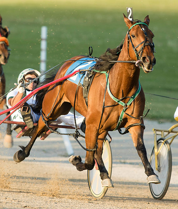 Horse Racing - Grand River Raceway